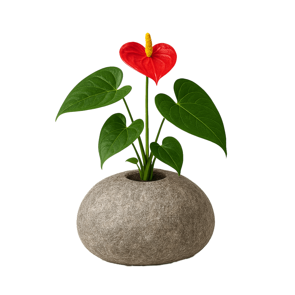 Stone Boulder Pot